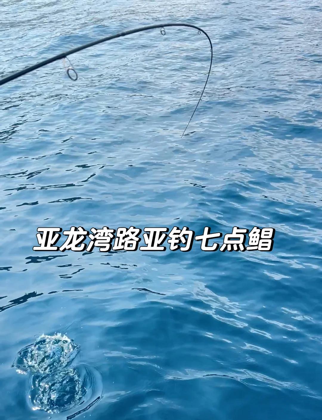 路亚海钓不挂底(路亚海钓要加坠子吗)