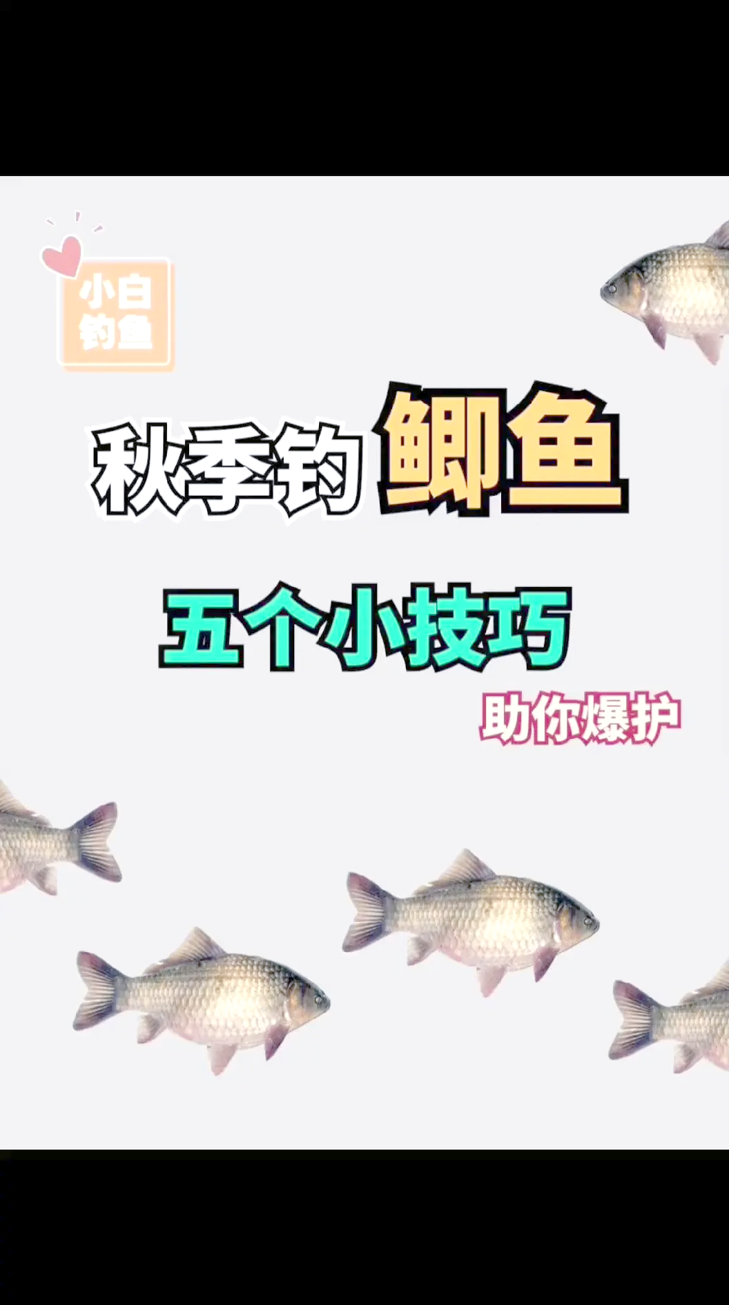 钓大棚鲫鱼技巧(大棚钓鲫鱼线组搭配)