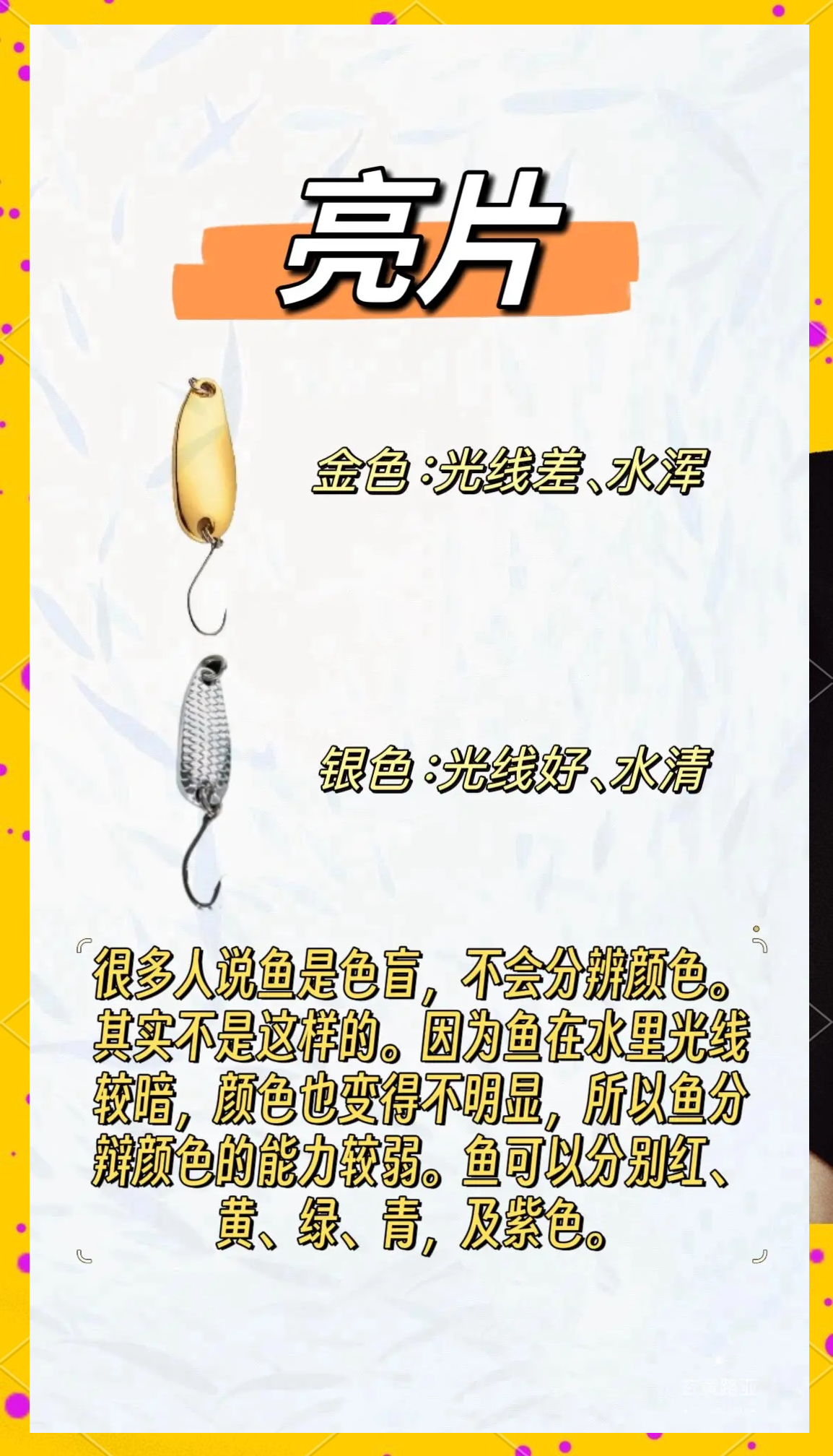 钓鱼配饵料技巧(钓鱼饵料配制方法)