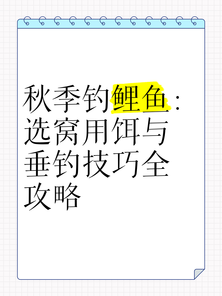钓鱼配饵料技巧(钓鱼饵料配制方法)