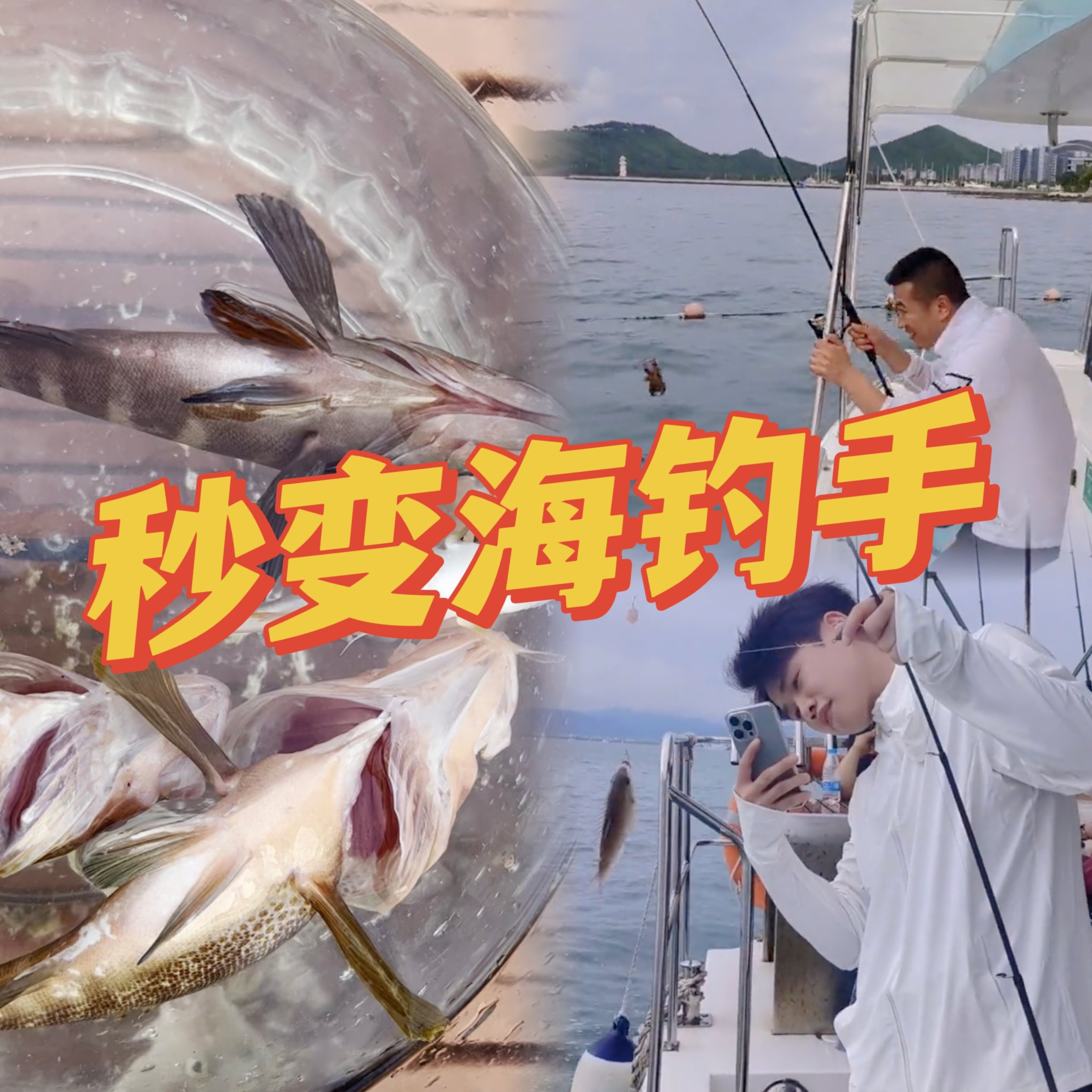 用手海钓鱼视频(海边用手杆怎么钓)