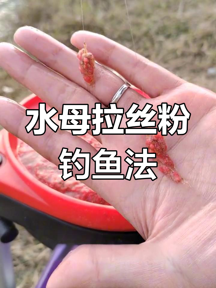 状态饵料的应用(状态饵料的应用领域)