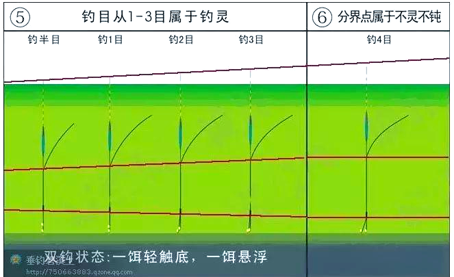 无钩调漂技巧高清视频(无钩调漂技巧高清视频大全)