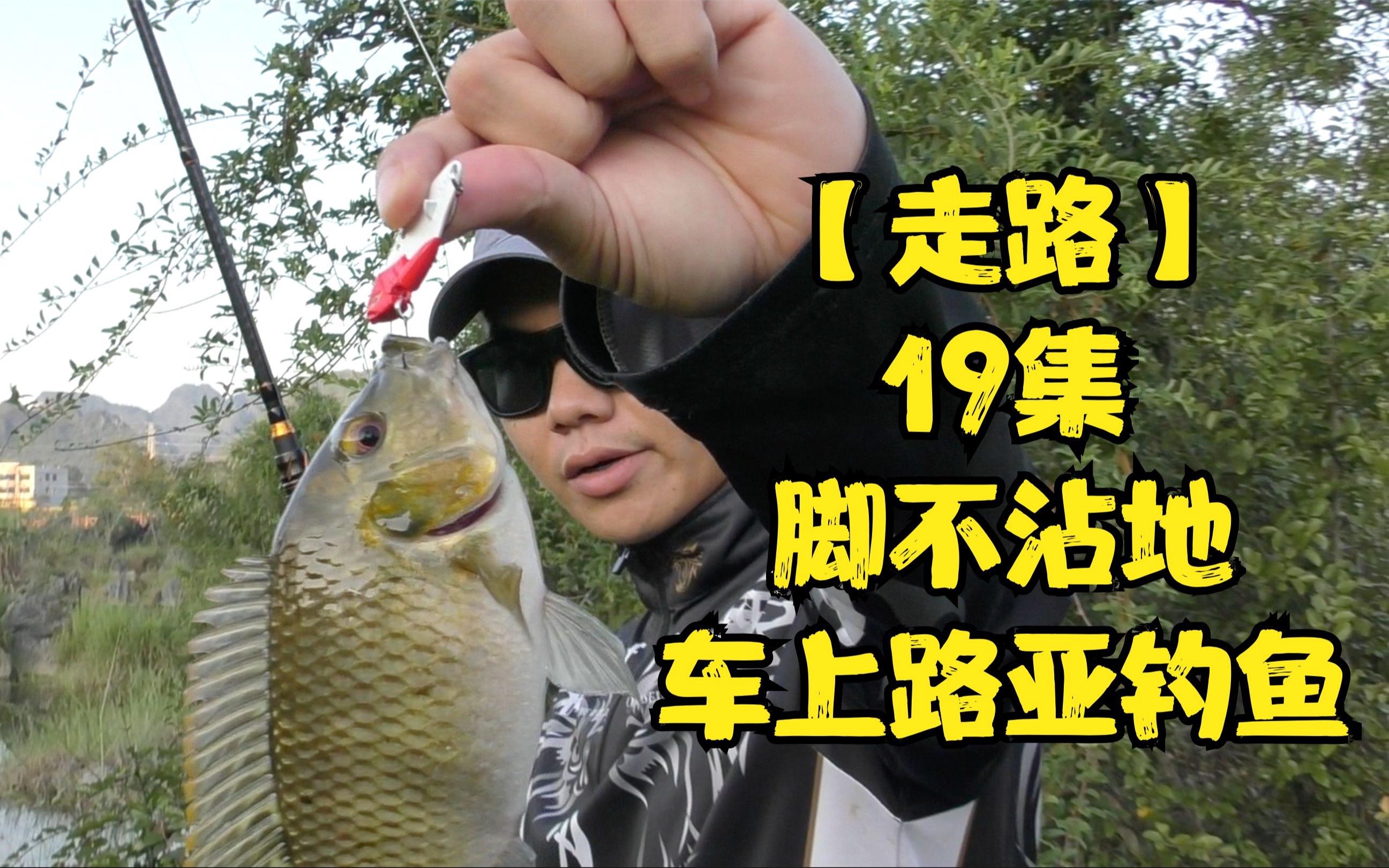 电动路亚(电动路亚饵效果好吗)