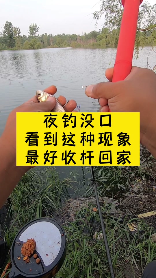 立冬后夜钓技巧(立冬了夜钓好钓吗)