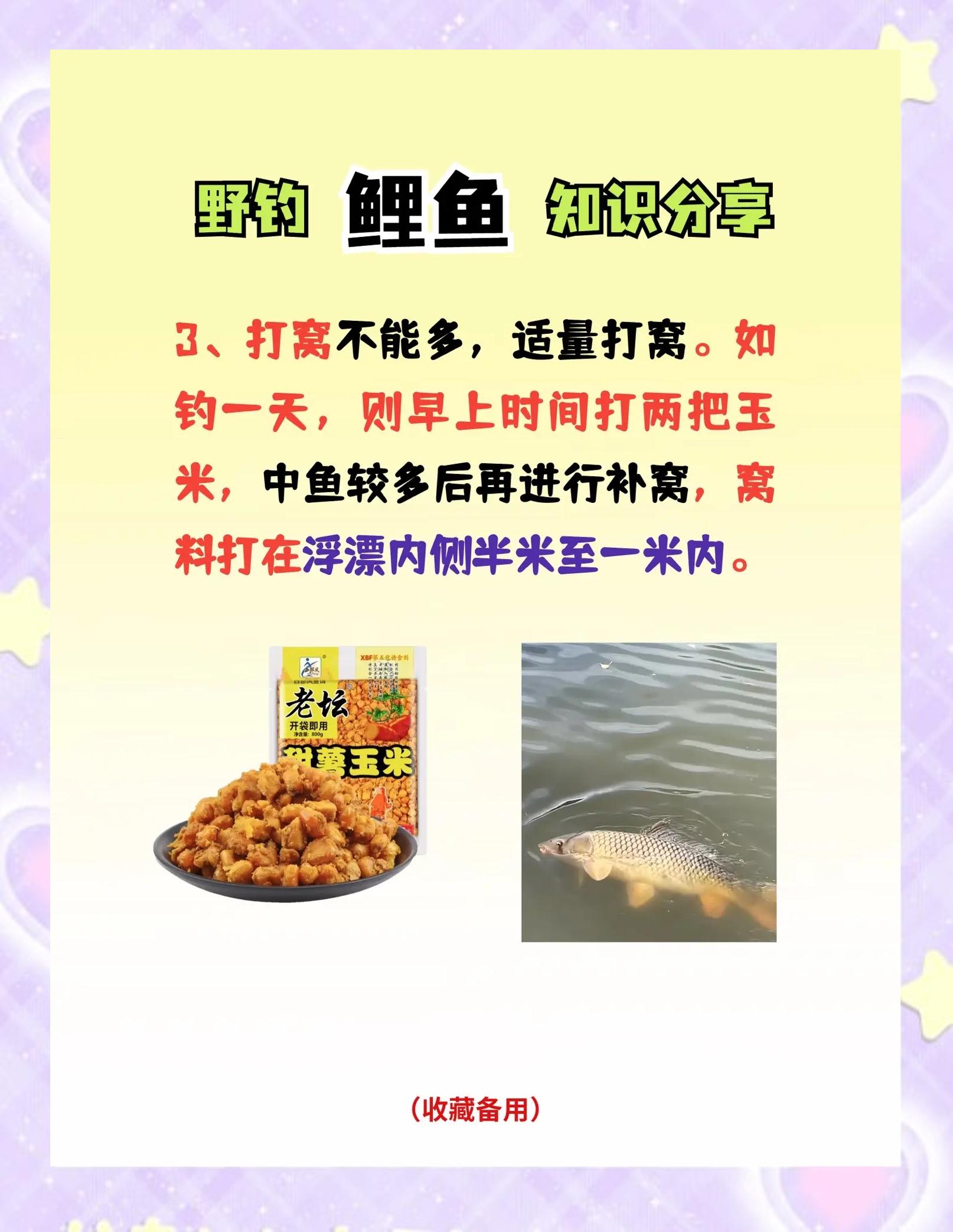水库重窝钓鲤鱼技巧(水库重窝钓鲤鱼技巧视频)
