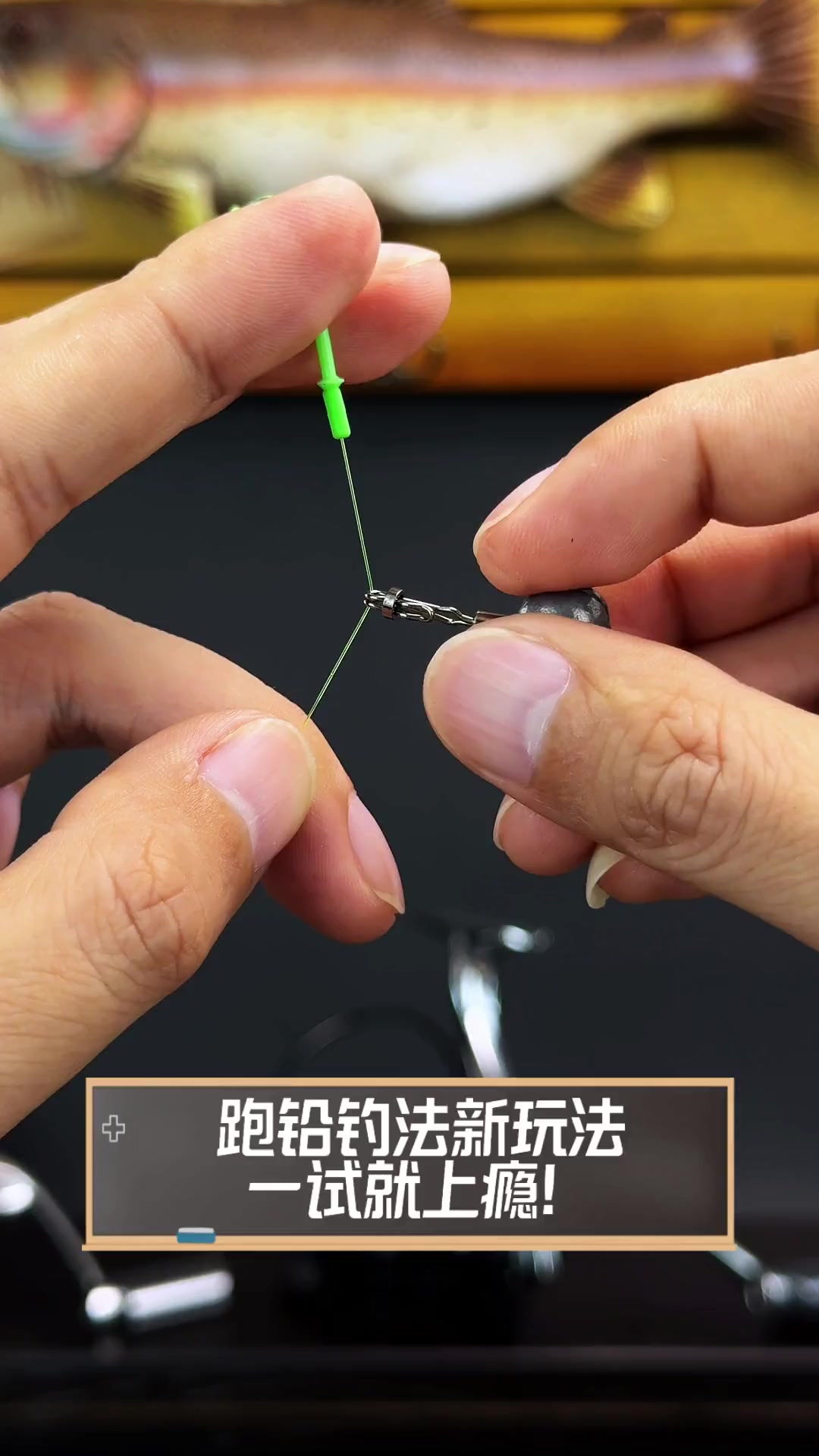 黑坑钓跑铅技巧(黑坑跑铅钓鱼调漂方法视频)