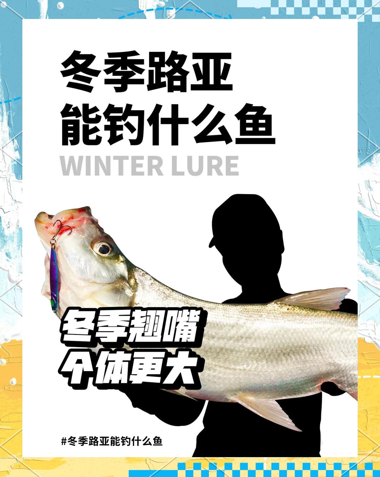 冬路亚翘嘴(冬季路亚翘嘴的窗口期在什么时候)