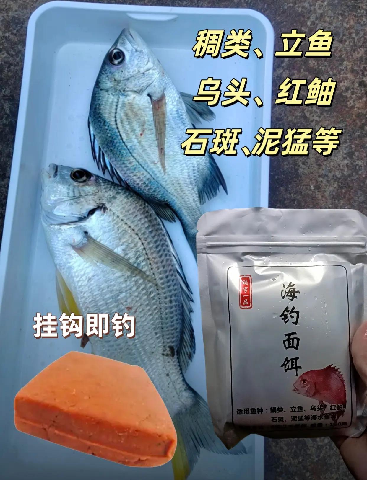 民间自制海钓鱼饵配方(海钓鱼饵的简单制作方法和配方)