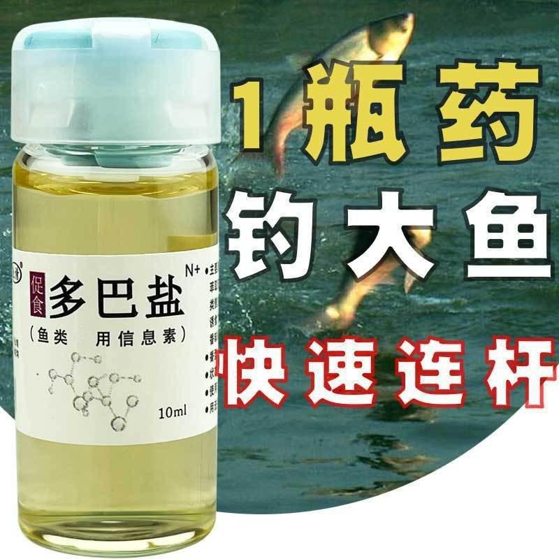 头水鱼饵料(钓鱼头水二水啥意思)