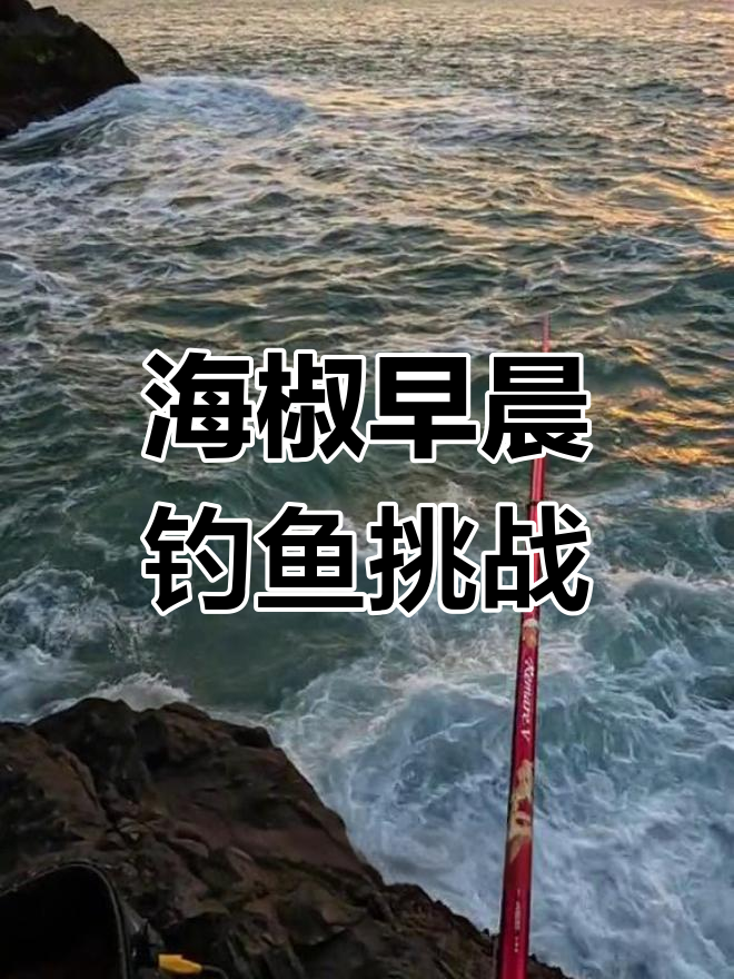 海礁钓鱼技巧(海钓礁石钓的技巧)