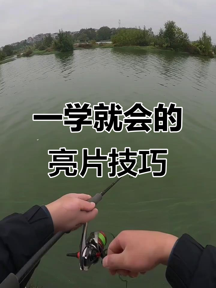 路亚亮片技巧(路亚亮片的手法)