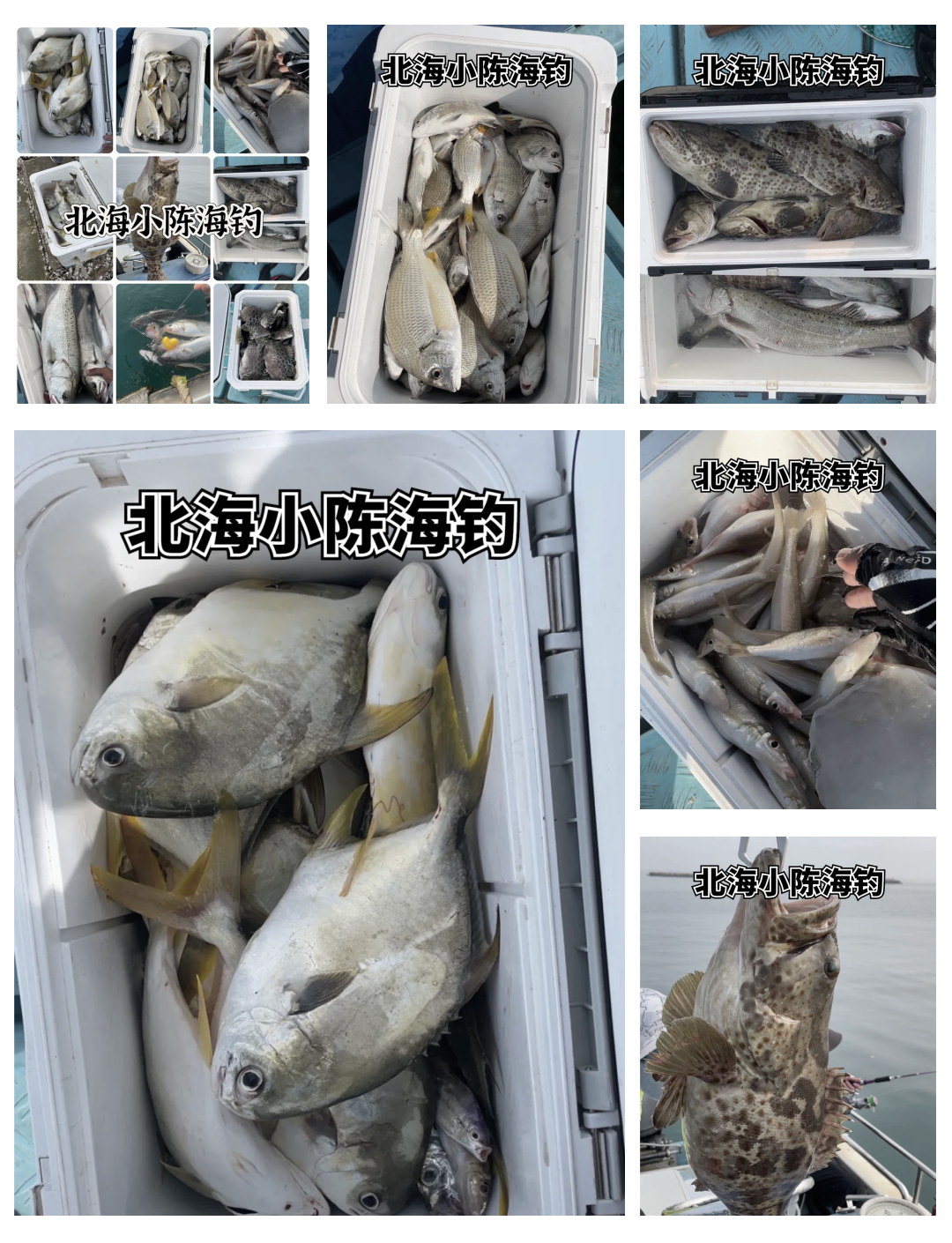 北京最近的海钓地点(北京最近海边钓鱼地点)