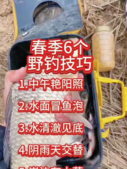 北方开春钓鱼技巧(北方开春钓鱼技巧视频)