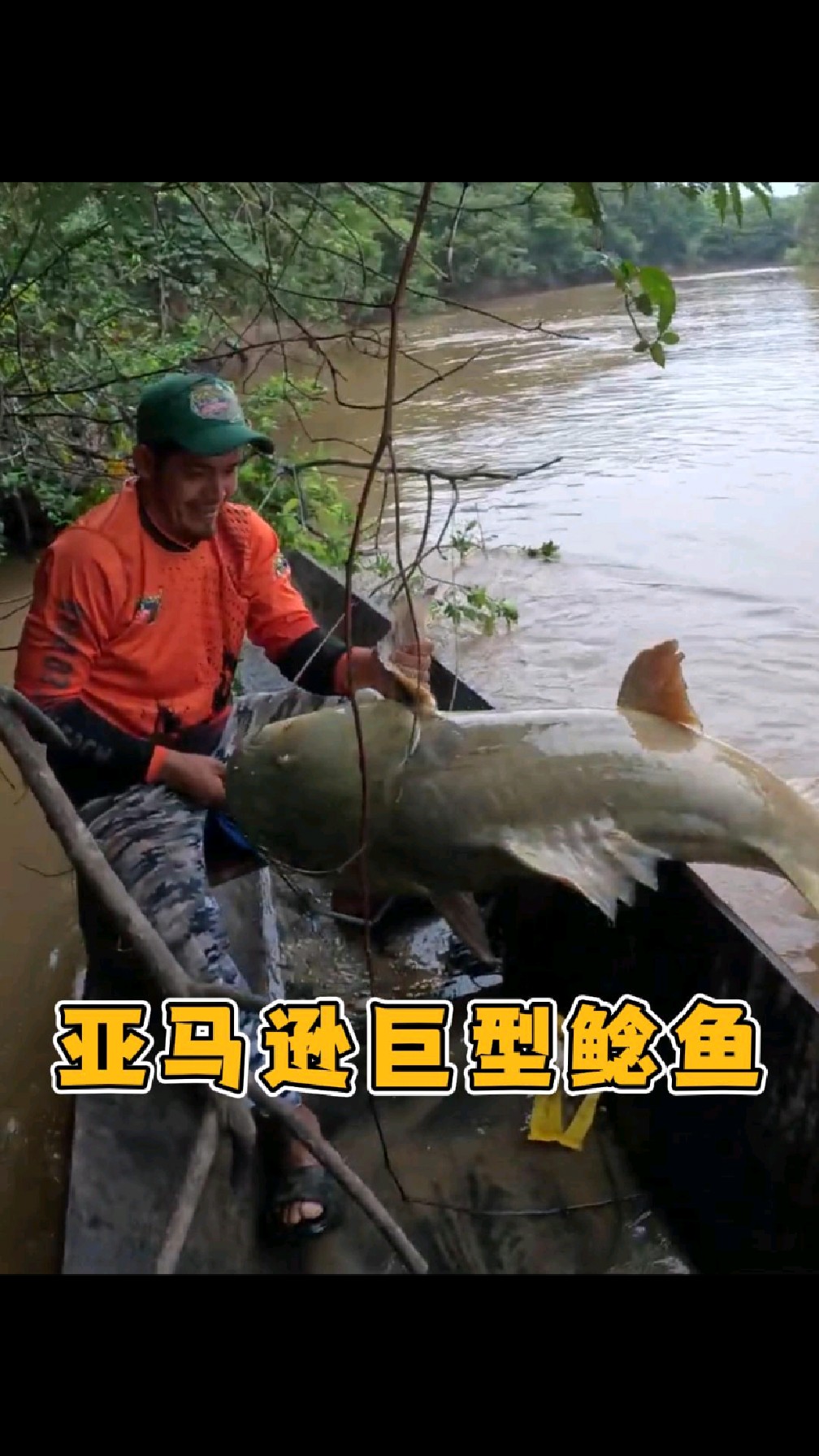 钓埃及鲶鱼技巧(埃及鲶鱼的养殖方法)
