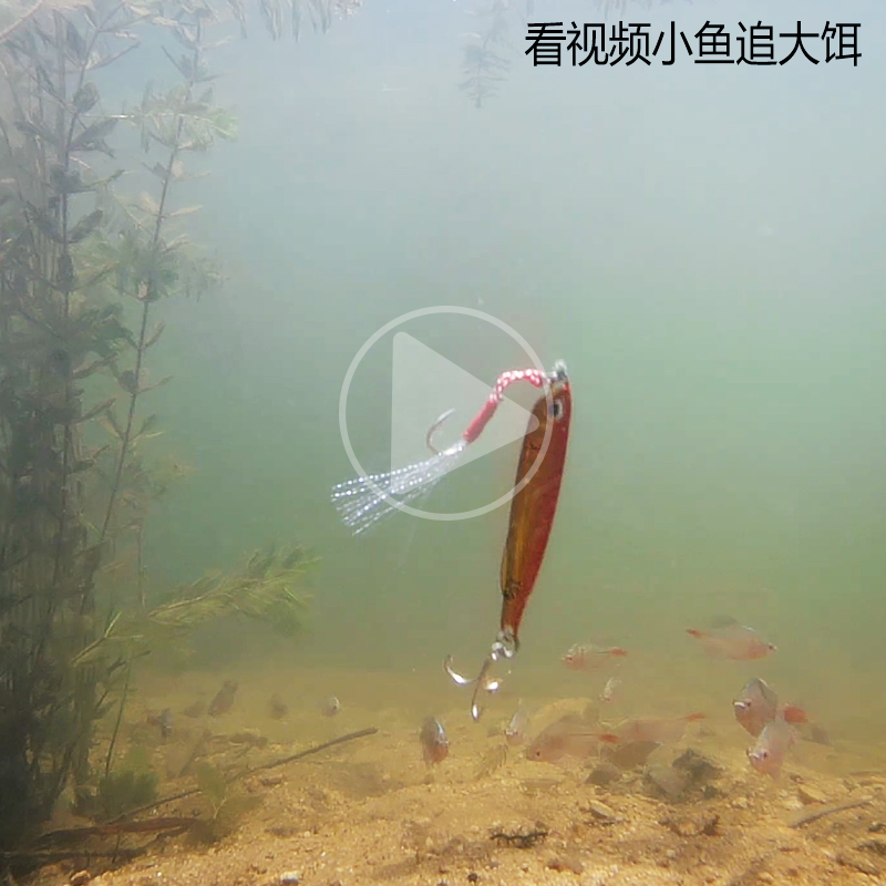 威海钓鲅鱼饵料(海钓鲅鱼用什么假饵)