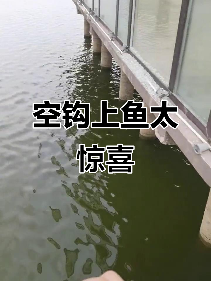 海钓空钩(海钓钩组的组合)