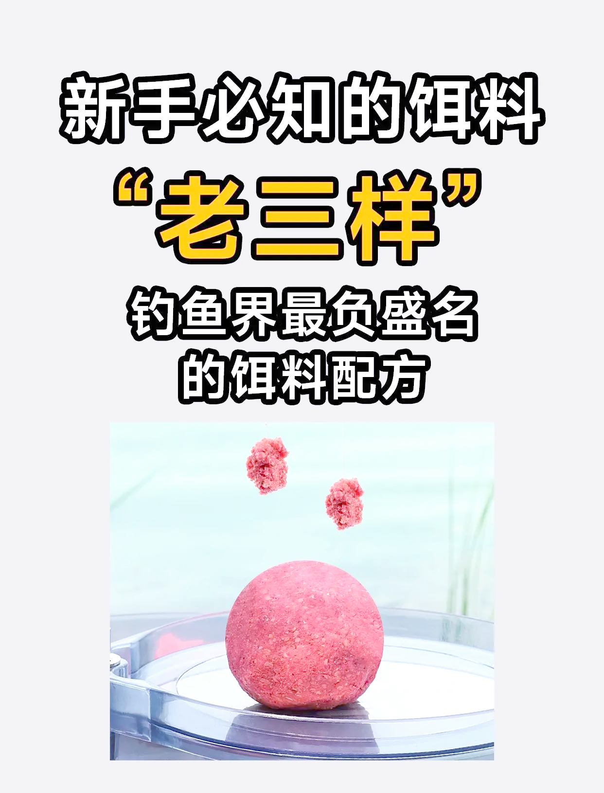 水母饵料用法(水母饵是什么材料)