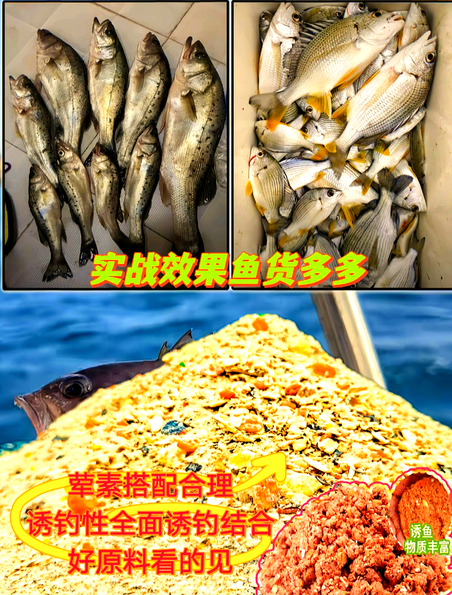 海钓窝料报价(海钓窝料的制作方法和配方)