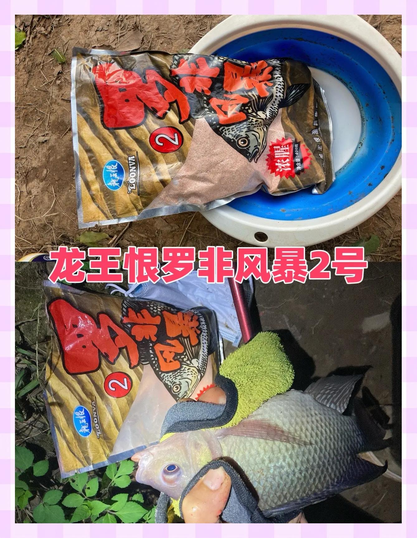 钓竿饵料罗非(专钓罗非鱼饵料)