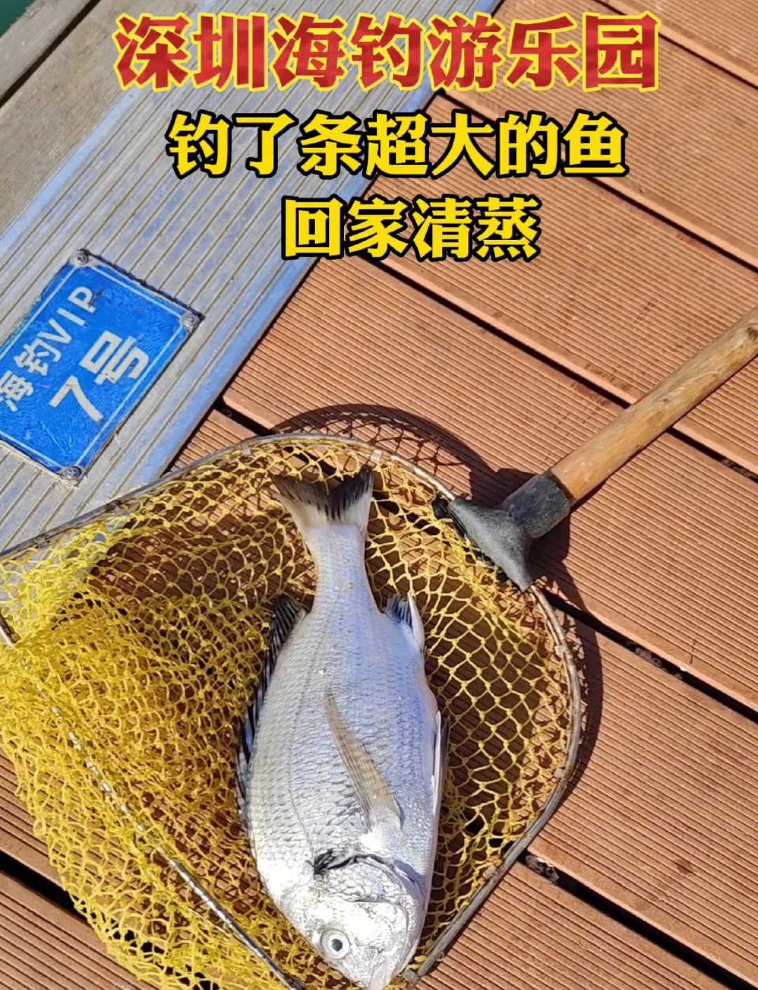 海钓卖鱼赚钱(海钓卖鱼赚钱吗)