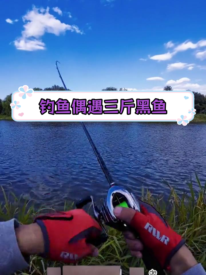 北京哪能路亚黑鱼(北京路亚打黑好地点)