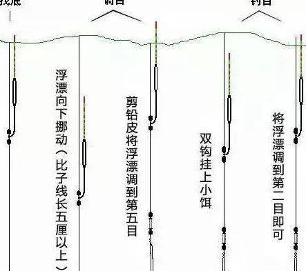 春天黑坑钓青鱼技巧(春天黑坑钓青鱼技巧图解)