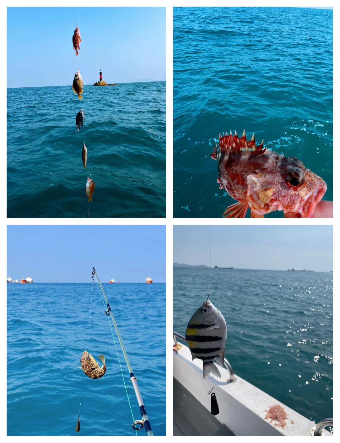珠海高栏岛海钓点(珠海高栏港码头钓鱼钓点图)