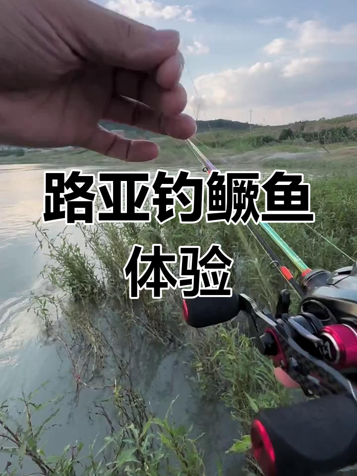 路亚钓鳜鱼用什么线好(路亚钓鳜鱼用什么调性的杆子好)