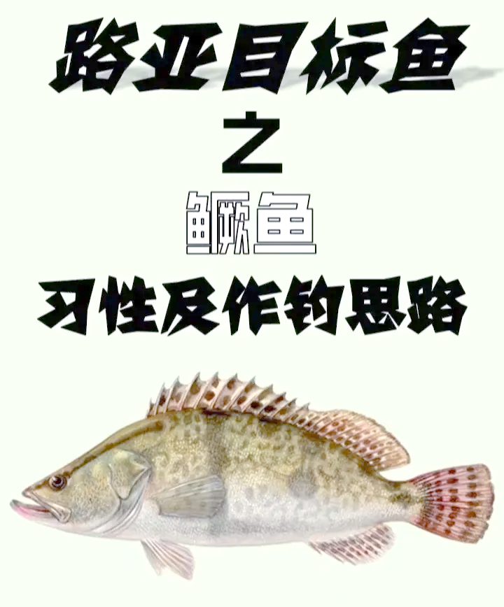 路亚钓鳜鱼用什么线好(路亚钓鳜鱼用什么调性的杆子好)