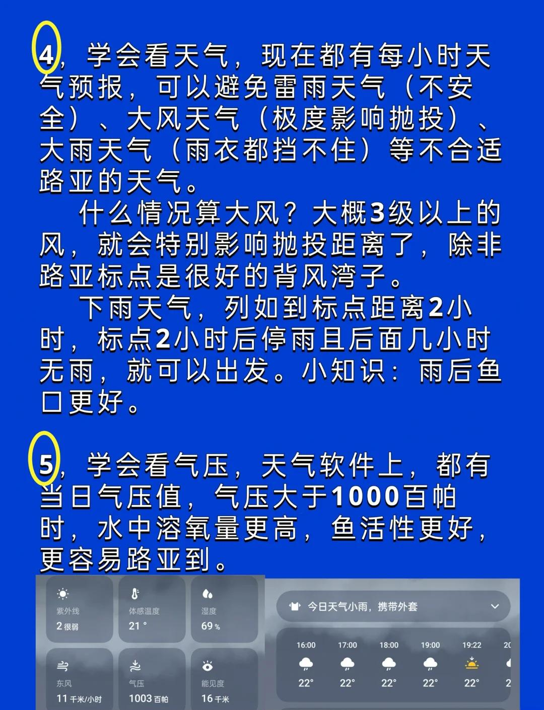 鱼钓法技巧(石斑鱼钓法技巧)