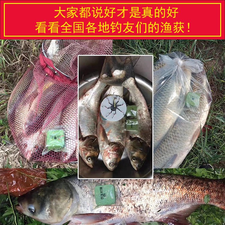 江里抛竿钓鱼饵料(江里抛竿用多重的铅)