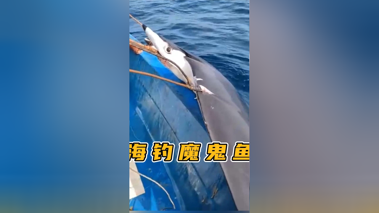 钓魔鬼鱼技巧(钓魔鬼鱼用什么饵)