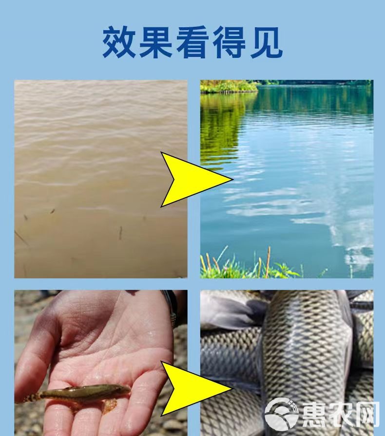 垂钓肥水池塘技巧(野钓肥水塘钓鱼用什么饵料最好)