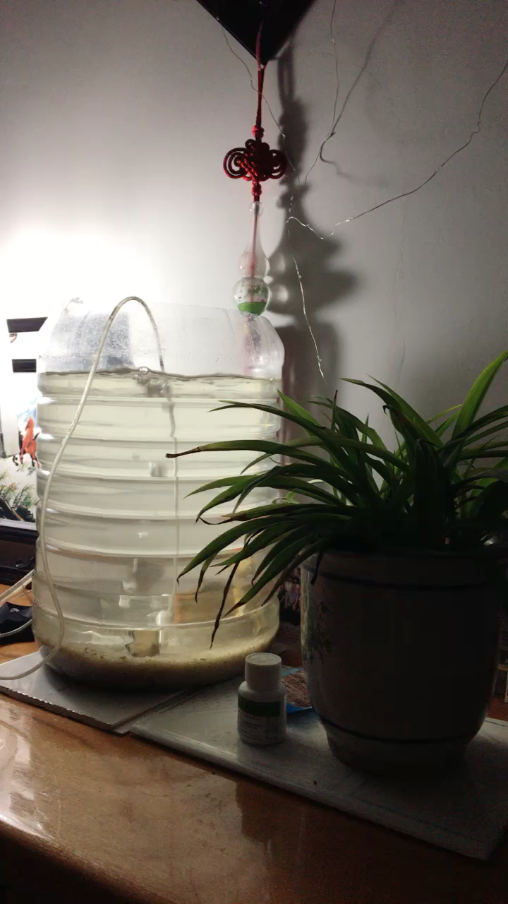 废物利用自制渔具(diy渔具制作过程)