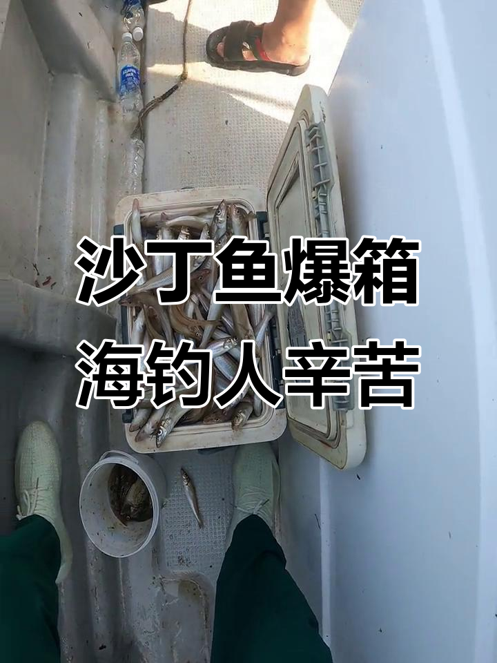 丰南海钓(丰南钓鱼)
