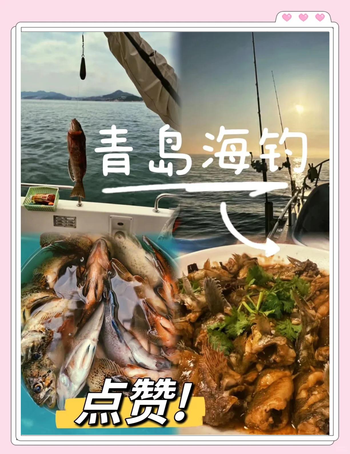 青岛海钓时间(青岛海边钓鱼季节)