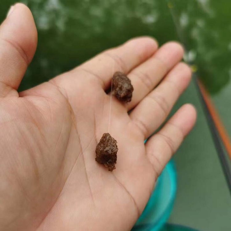 咖啡怎样配饵料(咖啡钓鱼促使鱼变开口效果)
