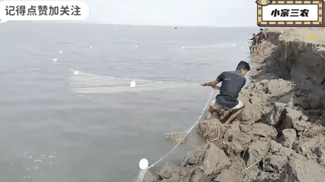 鱼粘网逮大鱼技巧(鱼粘网逮大鱼技巧和方法)