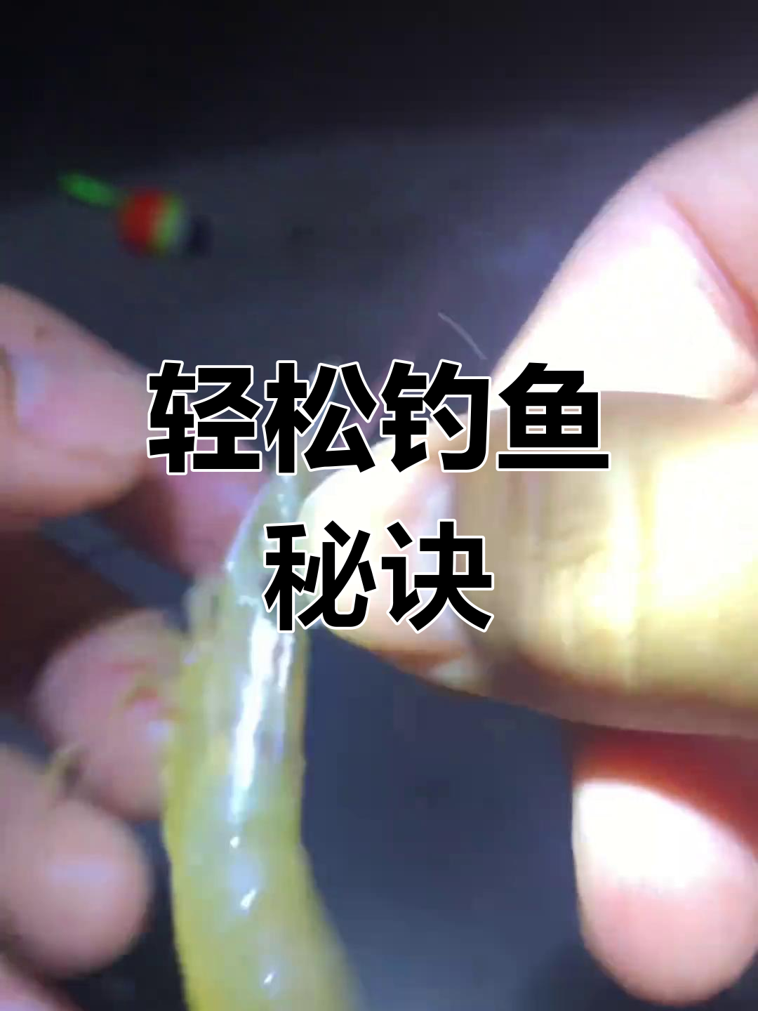 淡水钓鲈鱼技巧(淡水钓鲈鱼线组图片)