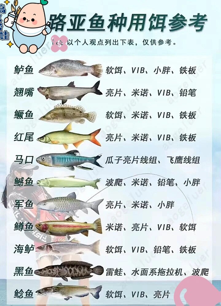 路亚区别(路亚竿区别)
