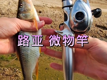 微物竿控饵技巧(微物竿线组和饵搭配)