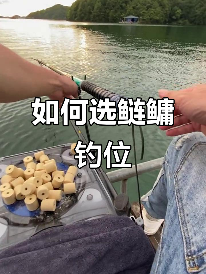 肥水塘钓鲢鳙技巧(肥水塘钓鲢鳙技巧和方法)