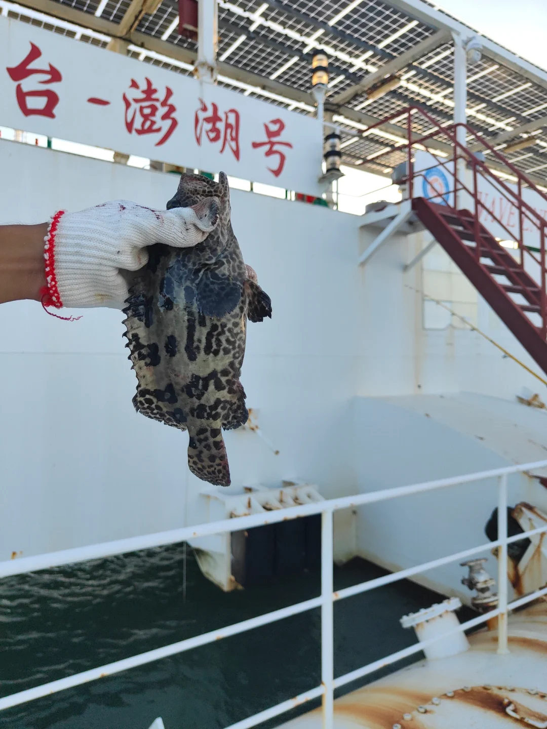 莱州哪里可以海钓(莱州市海钓鱼有什么地方)