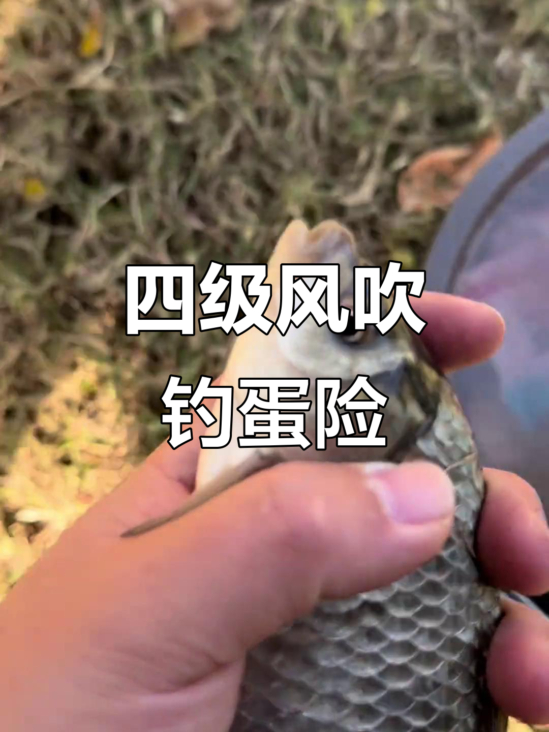 初夏西南风钓鱼技巧(西南风钓鱼应该选什么位置)