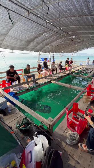 湛江鱼排海钓(湛江出海钓鱼电话)
