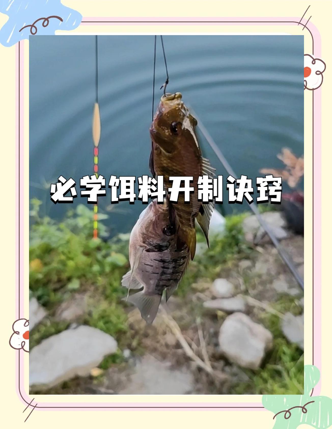 饵料怎样揉(如何打揉饵料)