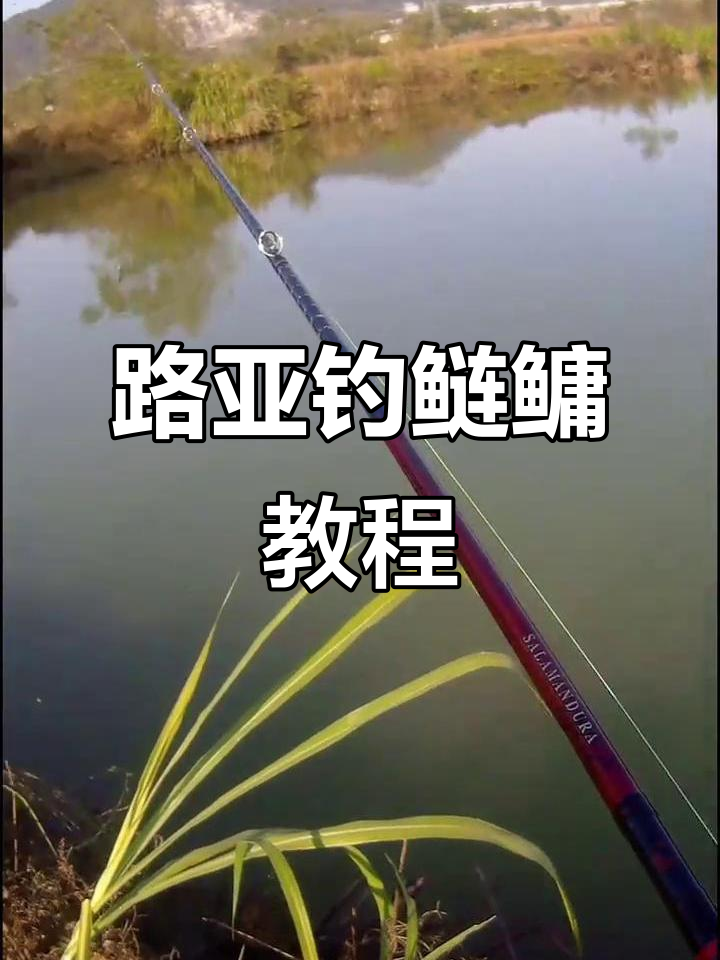 铅头钩的使用技巧(铅头钩操作视频讲解)