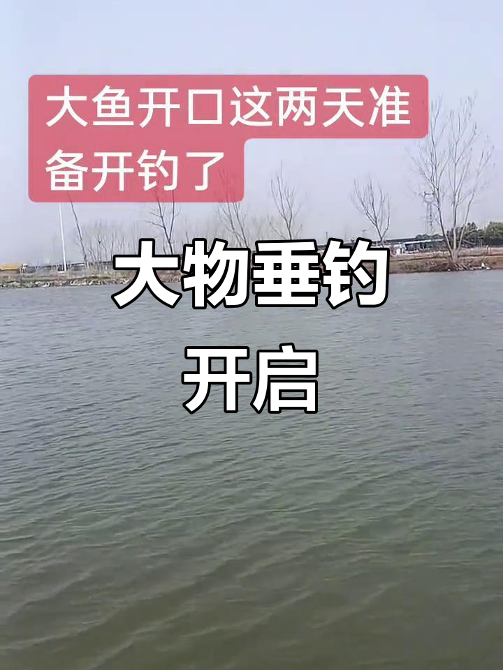 混养池塘钓草鱼技巧(混养池塘钓草鱼技巧和方法)
