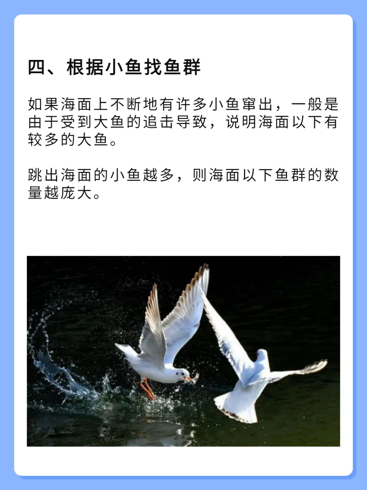 海钓怎么找鱼层(海钓怎么找鱼层最简单方法)